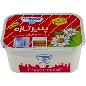 پنیر سفید نیم چرب حاوی ویتامین D3 پگاه 400 گرمی